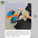 딩동댕댕 애견유치원 | 영종도 애견 유치원 [댕댕존] 프리미엄 유치원 후기 (분리불안 콩지의 첫 유치원 체험기)