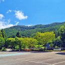 백야자연휴양림 이미지