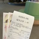 가리왕산역(케이블카 정상) | 강원도 정선 가볼만한곳 가리왕산 케이블카 할인 방법 탑승 후기
