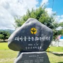 성주 별고을길 1코스 | 성주가볼만한곳 성밖숲 (feat. 힐링숲)