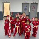 용인대 효 도장 이미지