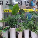 신가네 원주추어탕 이미지