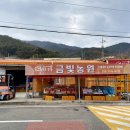 얼음골 종합유통 | 얼음골사과 금빛농원 농장직영 사과 추천(내돈내산) 솔직후기