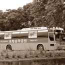 봉좌농장 이미지