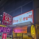 문구는못말려대신