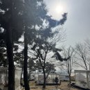 송도 국제캠핑장 4인 카라반 내돈내산 후기