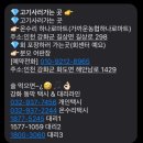 진짜베이 | 오션뷰 감성숙소 미온수풀 펜션 인천 강화도 루나솔베이 상세 후기