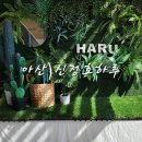 감탄떡볶이충남아산트라 | 아산 신정호 애견동반카페 하루 강아지들 보며 힐링할 수 있는 곳 내돈내산 후기