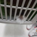 오룡 동물병원 이미지