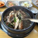 심마니네 약초백숙 이미지