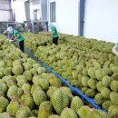 세계무역 이미지