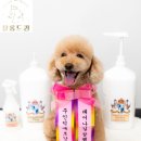 살롱드퀸