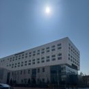 시보건소 | 임산부 뱃지 재발급 방법 분실 시 온라인 신청과 보건소 발급후기