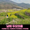 두모유채꽃메밀꽃단지