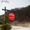 제니앤콩티 이미지