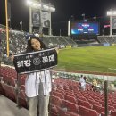 익사이팅몰 | [일상] 도파민 미쳤던 롯데자이언츠 vs 두산전 잠실야구장 원정 다녀온 후기