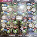 서윤공인중개사사무소 이미지