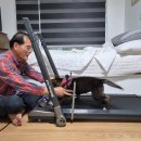 흑진주 런닝머신 타기 이미지