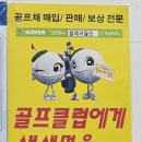 온오프PC | 부천골프샵 다이와 온오프 LP425 여자아이언 최대비거리 내돈내산 후기