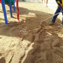 고경초교병설유치원 이미지