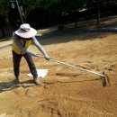 삼덕초등학교병설유치원 이미지