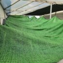 고려카센터 이미지