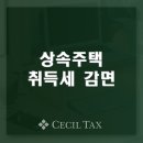 세무회계세실