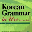 Korean Grammar in Use (Intermediate) 이미지