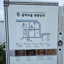 신흥2리(동백마을)농촌체험휴양마을 이미지