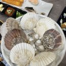 대전 맛집 도마동 횟집 스끼잘나오는 더싱싱수산 모듬회 솔직후기