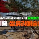 쌍류초등학교 이미지