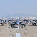 엘레펀트워크(elephant walk)