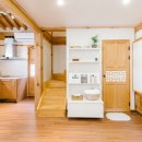 아담 스테이 이미지