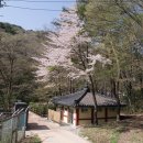 삼정야영장 화장실 이미지