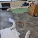 안녕;상이친구들!