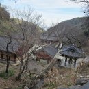 고요한 숲 | 나주 가볼만한곳, 화려한 단청과 고요한 숲이 있는 다보사 힐링산책
