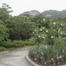 무궁화여관 이미지