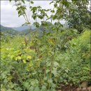 경화농장 이미지