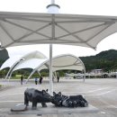 진안마이돈 이미지