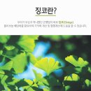 징코바이오 이미지
