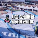 시흥 눈썰매장 월곶에코피아 요금 운영 기간 먹거리 주차정보