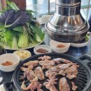 쌈좋고 | [영천] 삼겹살 오리고기 쌈밥 맛집 '쌈좋고'