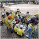 위즈아이어린이집 이미지