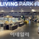 드림위드리빙