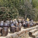 문학&생명관 이미지