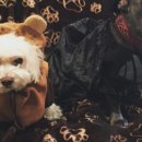 이제원 목장 이미지