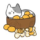 마석5일장 이미지