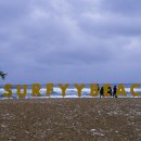 바다비치 | 양양 서피비치 해수욕장 겨울바다 후기｜서핑의 성지, 겨울에도 설레는 이유