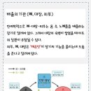 오혜숙생활단식우주지사