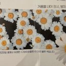 플라제뷰티 이미지